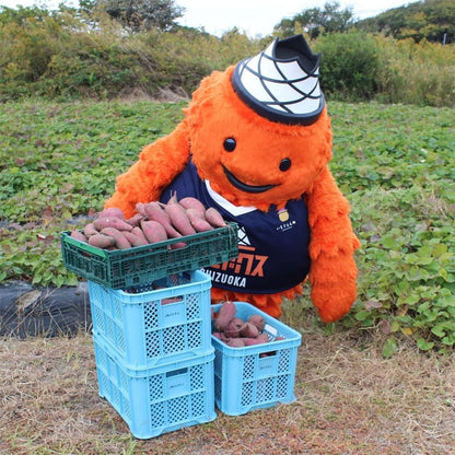 【期間限定：3個セット300円OFF！】ベルティのおいもチップス